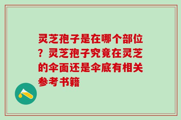 灵芝孢子是在哪个部位？灵芝孢子究竟在灵芝的伞面还是伞底有相关参考书籍