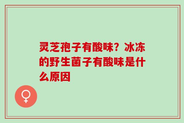 灵芝孢子有酸味？冰冻的野生菌子有酸味是什么原因