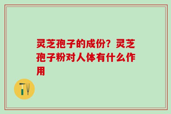 灵芝孢子的成份？灵芝孢子粉对人体有什么作用