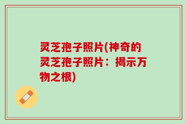 灵芝孢子照片(神奇的灵芝孢子照片：揭示万物之根)