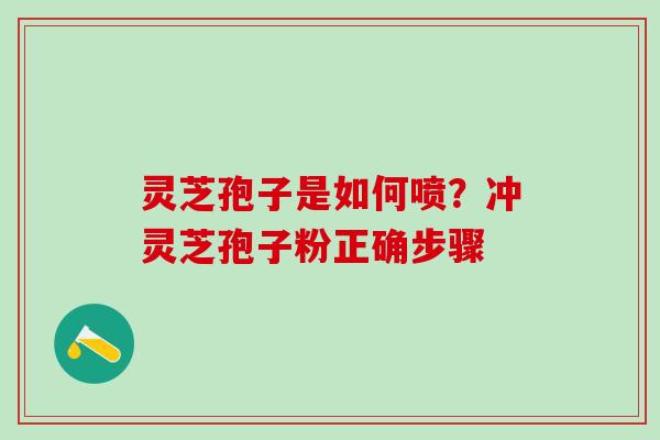 灵芝孢子是如何喷？冲灵芝孢子粉正确步骤