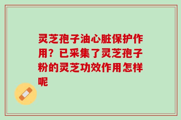 灵芝孢子油心脏保护作用？已采集了灵芝孢子粉的灵芝功效作用怎样呢
