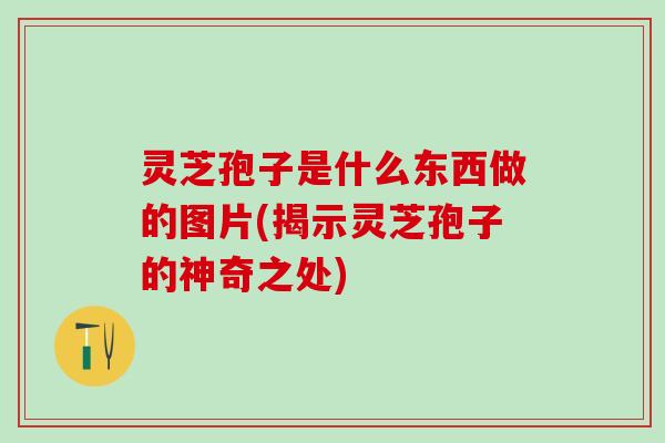 灵芝孢子是什么东西做的图片(揭示灵芝孢子的神奇之处)