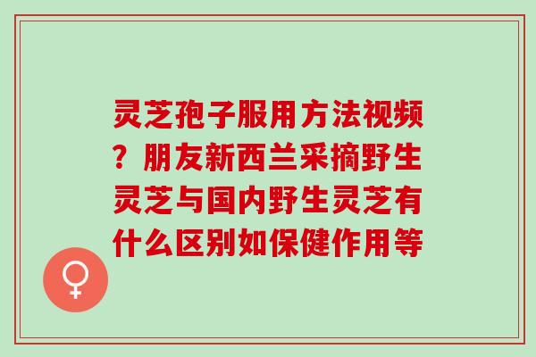 灵芝孢子服用方法视频？朋友新西兰采摘野生灵芝与国内野生灵芝有什么区别如保健作用等