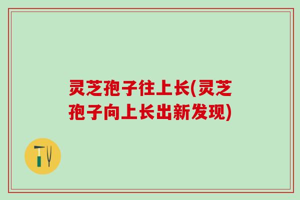 灵芝孢子往上长(灵芝孢子向上长出新发现)