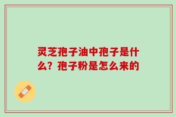 灵芝孢子油中孢子是什么？孢子粉是怎么来的