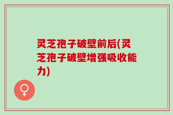 灵芝孢子破壁前后(灵芝孢子破壁增强吸收能力)