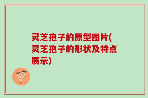 灵芝孢子的原型图片(灵芝孢子的形状及特点展示)