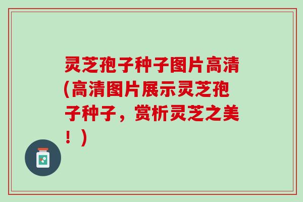 灵芝孢子种子图片高清(高清图片展示灵芝孢子种子,赏析灵芝之美!) 灵芝孢子种子图片高清(高清图片展示灵芝孢子种子,赏析灵芝之美!)