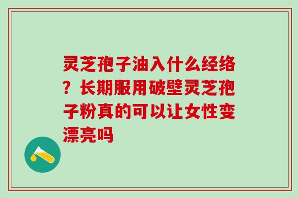 灵芝孢子油入什么经络？长期服用破壁灵芝孢子粉真的可以让女性变漂亮吗