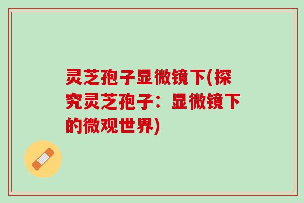 灵芝孢子显微镜下(探究灵芝孢子:显微镜下的微观世界) 灵芝孢子显微镜下(探究灵芝孢子:显微镜下的微观世界)