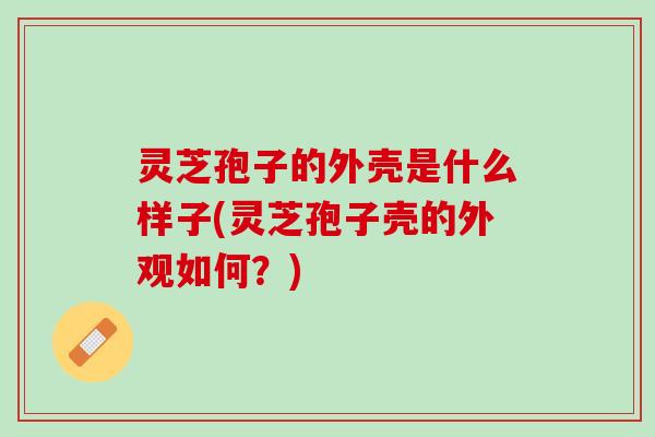 灵芝孢子的外壳是什么样子(灵芝孢子壳的外观如何？)