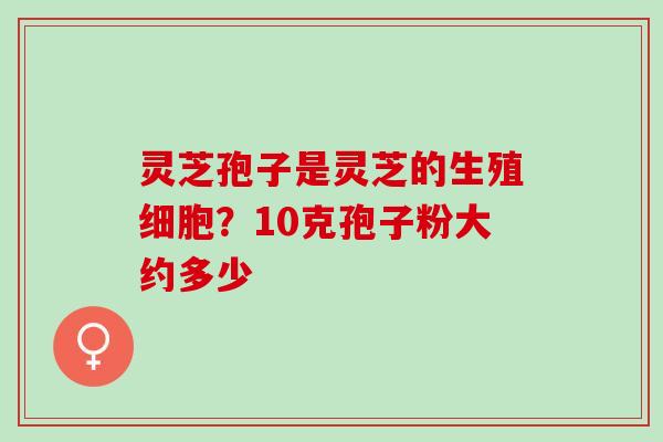 灵芝孢子是灵芝的生殖细胞？10克孢子粉大约多少