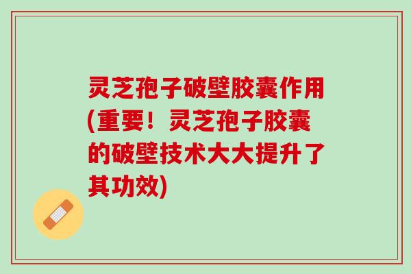 灵芝孢子破壁胶囊作用(重要!灵芝孢子胶囊的破壁技术大大提升了其功效) 灵芝孢子破壁胶囊作用(重要!灵芝孢子胶囊的破壁技术大大提升了其功效)