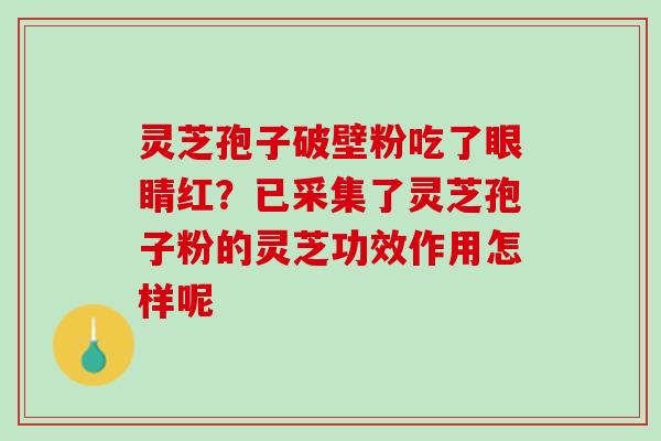 灵芝孢子破壁粉吃了眼睛红？已采集了灵芝孢子粉的灵芝功效作用怎样呢