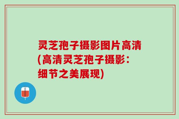 灵芝孢子摄影图片高清(高清灵芝孢子摄影：细节之美展现)