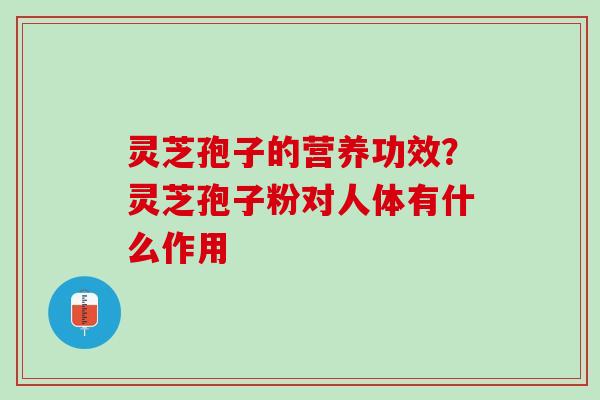 灵芝孢子的营养功效？灵芝孢子粉对人体有什么作用