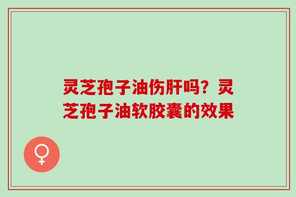 灵芝孢子油伤吗?灵芝孢子油软胶囊的效果 灵芝孢子油伤吗?灵芝孢子油软胶囊的效果