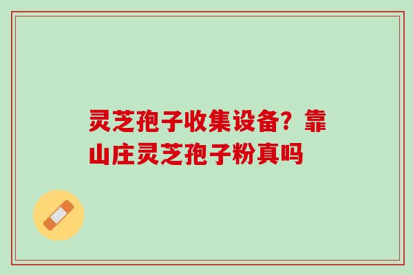 灵芝孢子收集设备？靠山庄灵芝孢子粉真吗