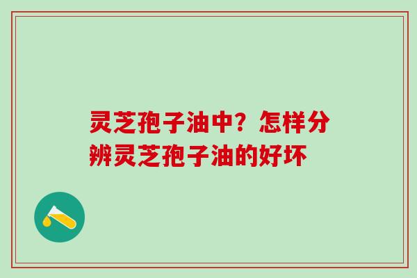 灵芝孢子油中？怎样分辨灵芝孢子油的好坏