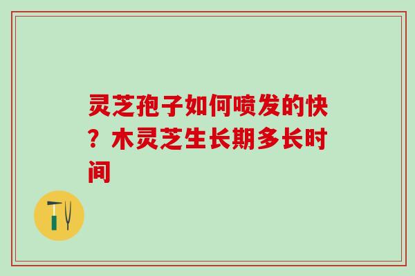 灵芝孢子如何喷发的快？木灵芝生长期多长时间
