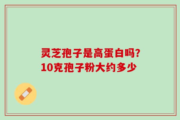 灵芝孢子是高蛋白吗？10克孢子粉大约多少