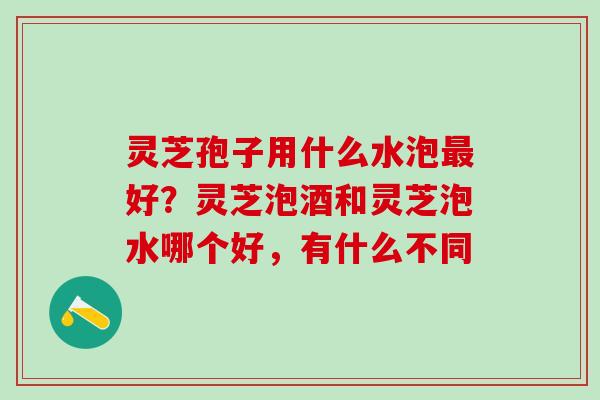灵芝孢子用什么水泡最好？灵芝泡酒和灵芝泡水哪个好，有什么不同