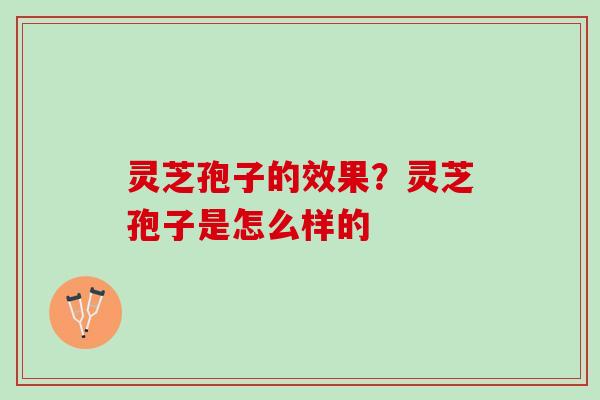 灵芝孢子的效果？灵芝孢子是怎么样的