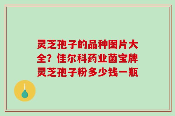 灵芝孢子的品种图片大全?佳尔科药业菌宝牌灵芝孢子粉多少钱一瓶 灵芝孢子的品种图片大全?佳尔科药业菌宝牌灵芝孢子粉多少钱一瓶