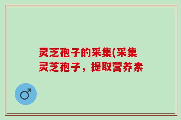 灵芝孢子的采集(采集灵芝孢子,提取营养素 灵芝孢子的采集(采集灵芝孢子,提取营养素