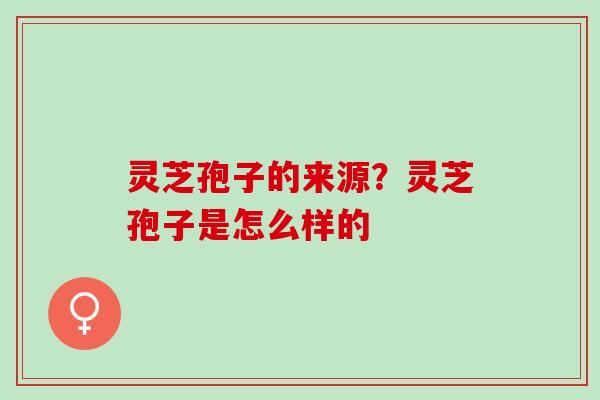 灵芝孢子的来源？灵芝孢子是怎么样的