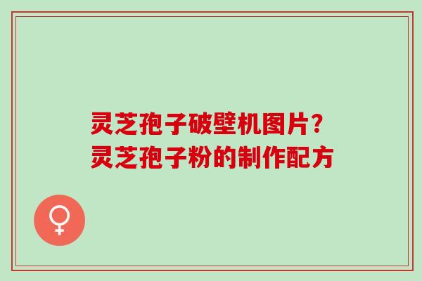 灵芝孢子破壁机图片？灵芝孢子粉的制作配方