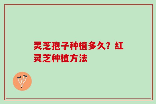 灵芝孢子种植多久?红灵芝种植方法 灵芝孢子种植多久?红灵芝种植方法