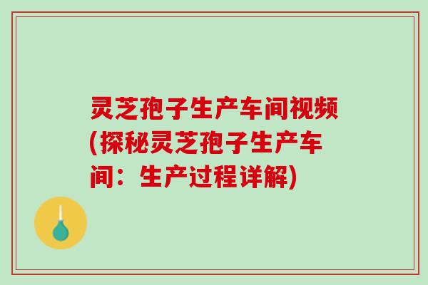 灵芝孢子生产车间视频(探秘灵芝孢子生产车间：生产过程详解)