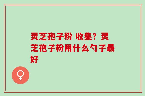 灵芝孢子粉 收集？灵芝孢子粉用什么勺子最好