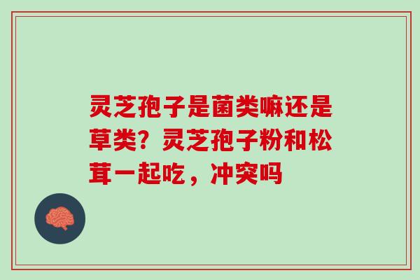 灵芝孢子是菌类嘛还是草类？灵芝孢子粉和松茸一起吃，冲突吗