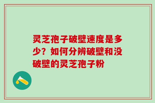 灵芝孢子破壁速度是多少？如何分辨破壁和没破壁的灵芝孢子粉
