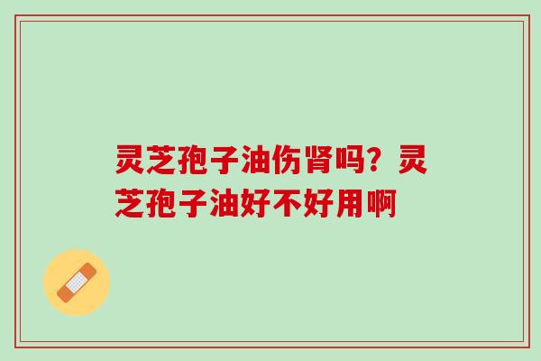 灵芝孢子油伤肾吗？灵芝孢子油好不好用啊