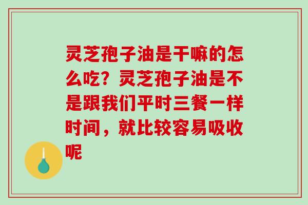 灵芝孢子油是干嘛的怎么吃？灵芝孢子油是不是跟我们平时三餐一样时间，就比较容易吸收呢