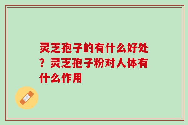 灵芝孢子的有什么好处?灵芝孢子粉对人体有什么作用 灵芝孢子的有什么好处?灵芝孢子粉对人体有什么作用