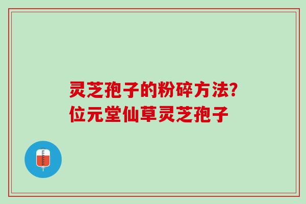 灵芝孢子的粉碎方法？位元堂仙草灵芝孢子