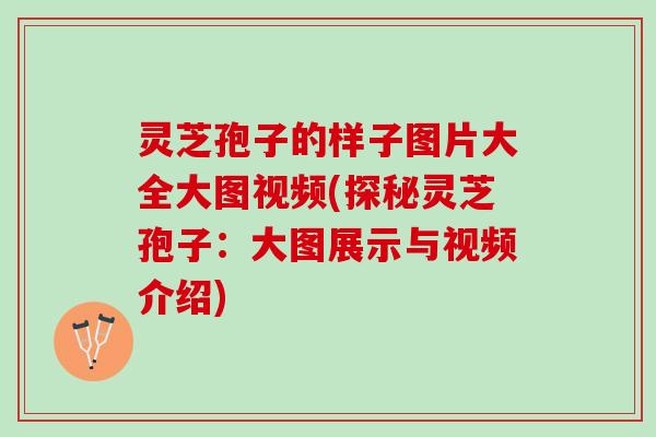 灵芝孢子的样子图片大全大图视频(探秘灵芝孢子：大图展示与视频介绍)
