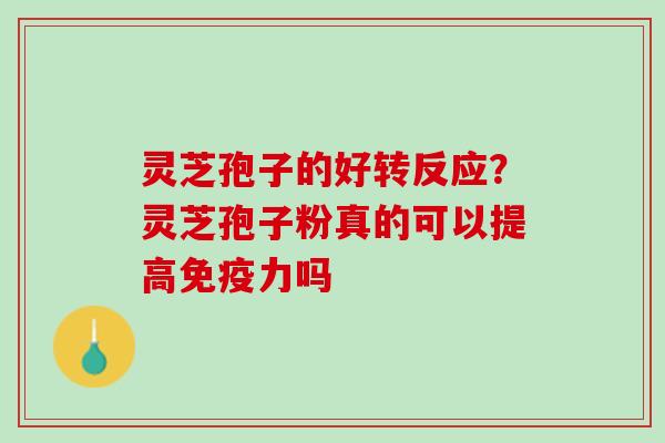 灵芝孢子的好转反应？灵芝孢子粉真的可以提高免疫力吗