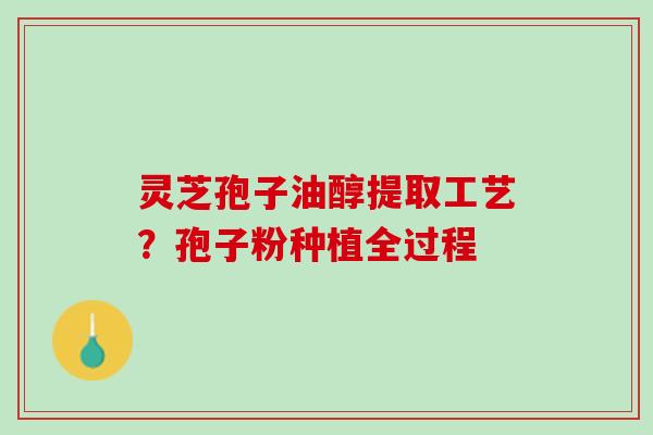 灵芝孢子油醇提取工艺?孢子粉种植全过程 灵芝孢子油醇提取工艺?孢子粉种植全过程
