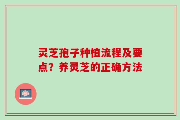 灵芝孢子种植流程及要点？养灵芝的正确方法