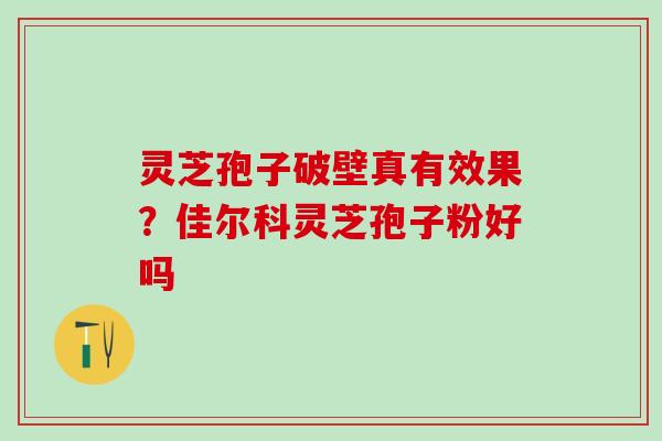 灵芝孢子破壁真有效果？佳尔科灵芝孢子粉好吗