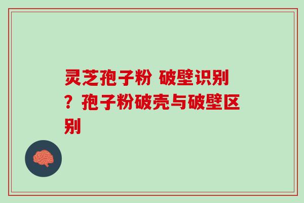 灵芝孢子粉 破壁识别？孢子粉破壳与破壁区别