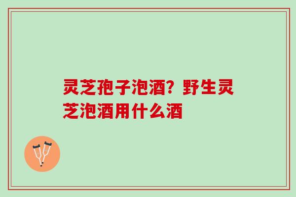 灵芝孢子泡酒？野生灵芝泡酒用什么酒