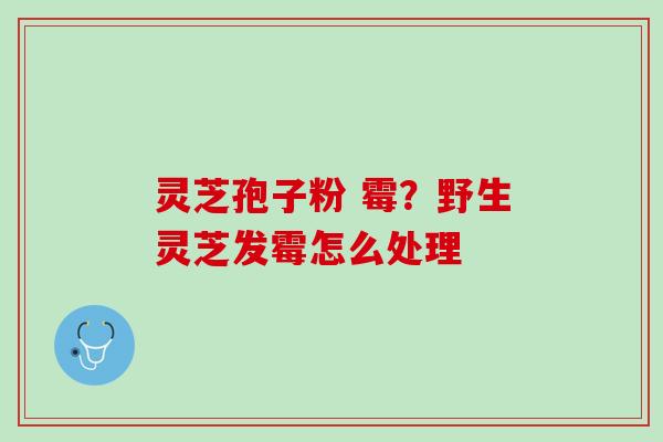 灵芝孢子粉 霉?野生灵芝发霉怎么处理 灵芝孢子粉 霉?野生灵芝发霉怎么处理