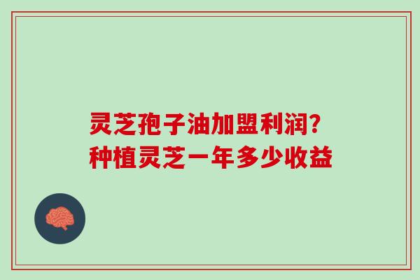 灵芝孢子油加盟利润？种植灵芝一年多少收益